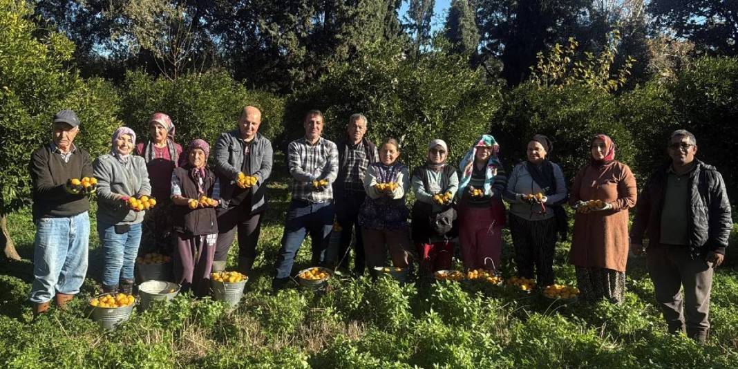 Tescilli üründe rekolte düştü! 3 bin tonun altında hasat tamamlanacak: Bahçede 20 TL’den markette 100 TL’den satılacak 3